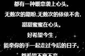 《想你是我的习惯》(修博苧演唱)的文本歌词及LRC歌词