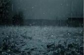 《遵义下雨了DEMO》(蒋蒋演唱)的文本歌词及LRC歌词