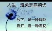 《就算没人爱也不要你的爱》(张书姚演唱)的文本歌词及LRC歌词