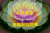 《花花心肠》(唐钰儿演唱)的文本歌词及LRC歌词