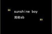 《sunshine boy》(张子轩演唱)的文本歌词及LRC歌词