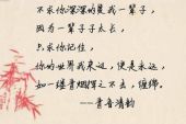 《下辈子不一定在遇见你》(玄昌俊演唱)的文本歌词及LRC歌词