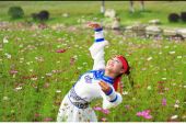 《草原上的姑娘》(根呷演唱)的文本歌词及LRC歌词