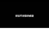 《不愿意把你放弃》(雨中百合＆焦作风景演唱)的文本歌词及LRC歌词