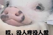 《从来都没有人爱》(郎军演唱)的文本歌词及LRC歌词
