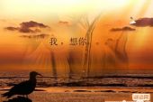 《当你离开的时候》(少女队演唱)的文本歌词及LRC歌词