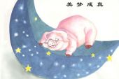 《美梦成真》(张立冬演唱)的文本歌词及LRC歌词