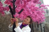 《相遇美丽的前杜》(云菲菲演唱)的文本歌词及LRC歌词