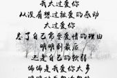 《恨你不如忘了你》(蓝雨演唱)的文本歌词及LRC歌词