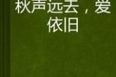 《爱已远去》(枫桥演唱)的文本歌词及LRC歌词