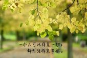 《伪装幸福》(苏小麦演唱)的文本歌词及LRC歌词