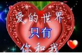 《恋你心会痛》(苏珀雅演唱)的文本歌词及LRC歌词