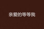 《亲爱滴等等我》(陈浩演唱)的文本歌词及LRC歌词