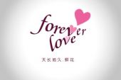 《Forever love》(邢毅演唱)的文本歌词及LRC歌词