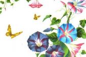 《morning glory》(いとうかなこ演唱)的文本歌词及LRC歌词