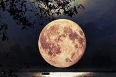 《星夜的离别》(黄乙玲演唱)的文本歌词及LRC歌词