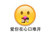 《爱你在心口难开》(林淑容演唱)的文本歌词及LRC歌词