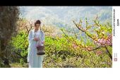 《葬花》(杨培安演唱)的文本歌词及LRC歌词