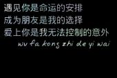 《不是你的选择》(王玉娟演唱)的文本歌词及LRC歌词