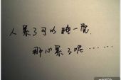 《我累了我痛了》(潘子华演唱)的文本歌词及LRC歌词