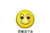 《笑着活下去》(网络歌手演唱)的文本歌词及LRC歌词
