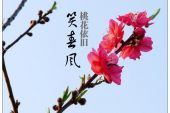 《桃花依旧》(谢佳演唱)的文本歌词及LRC歌词