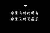 《别强求》(望海高歌演唱)的文本歌词及LRC歌词