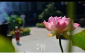 《尘缘》(陈瑞演唱)的文本歌词及LRC歌词