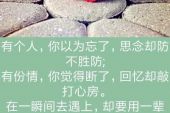 《余生不打扰》(苏栎演唱)的文本歌词及LRC歌词