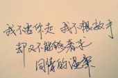 《不想放手让你走》(阿毅演唱)的文本歌词及LRC歌词