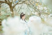 《再唱梨花叹》(布兰卡演唱)的文本歌词及LRC歌词