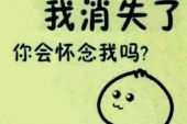 《爱情的眼泪伤了我的心》(葛笑演唱)的文本歌词及LRC歌词