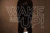 《Wake Me Up》(无限王者团演唱)的文本歌词及LRC歌词