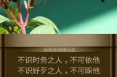《不识好歹》(风小筝（覃沐曦）演唱)的文本歌词及LRC歌词