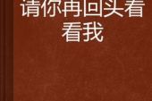 《回头看看我》(崔伟立演唱)的文本歌词及LRC歌词