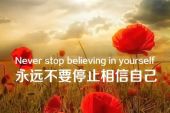 《我也很想相信》(林隆璇演唱)的文本歌词及LRC歌词