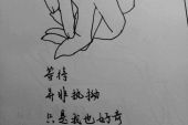 《心中的伤痕》(娃娃演唱)的文本歌词及LRC歌词