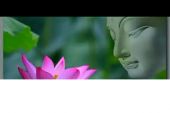 《我是佛前一朵莲》(韩旭演唱)的文本歌词及LRC歌词