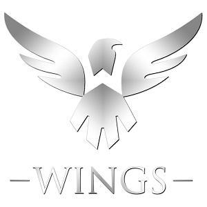《Wings》(范忆堂)歌词555uuu下载