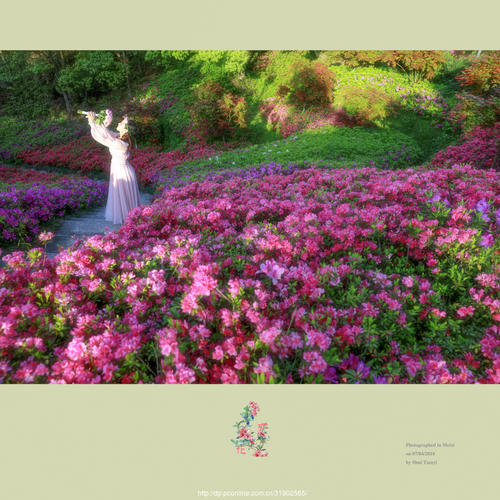 《花开正好》LRC歌词 《花开正好》(刘美儿)歌词555uuu下载