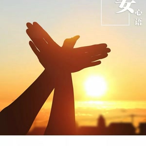《没有翅膀也要飞翔》LRC歌词 《没有翅膀也要飞翔》(韩红)歌词555uuu下载