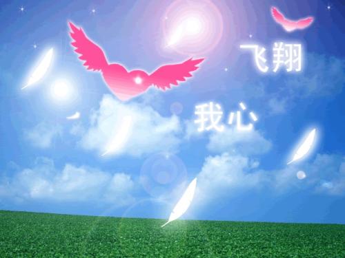 《心飞翔》LRC歌词 《心飞翔》(方小菲)歌词555uuu下载