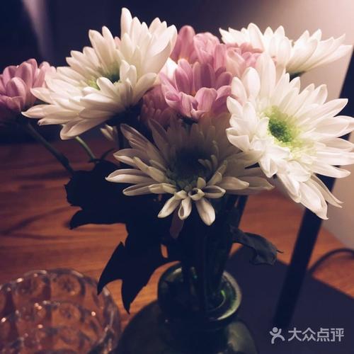 《我的花(demo)》LRC歌词 《我的花(demo)》(琪叔)歌词555uuu下载