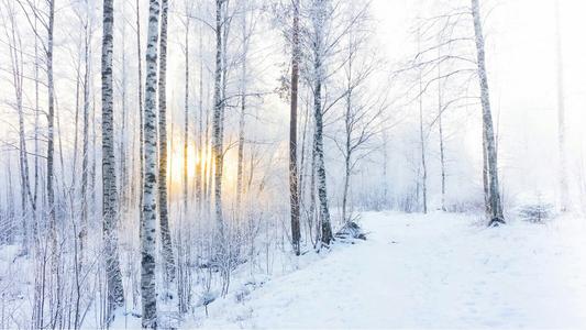 《殇雪》LRC歌词 《殇雪》(暴林)歌词555uuu下载