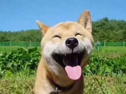 《你笑起来真好看》LRC歌词 《你笑起来真好看》(李昕融、樊桐舟、李凯稠)歌词555uuu下载