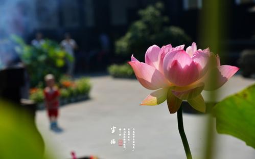 《尘缘》LRC歌词 《尘缘》(陈瑞)歌词555uuu下载