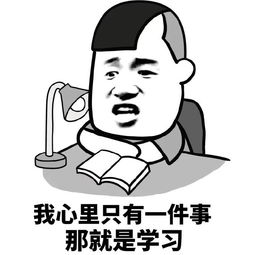 《我的心里只有一件事情那就是学习》LRC歌词 《我的心里只有一件事情那就是学习》(罗小黑)歌词555uuu下载