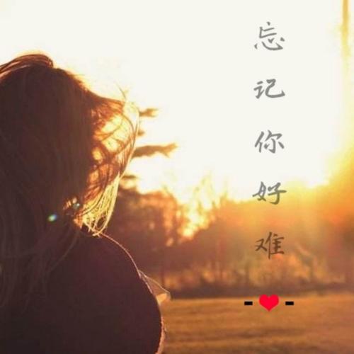 《忘记你是那么难》(红蔷薇)歌词555uuu下载
