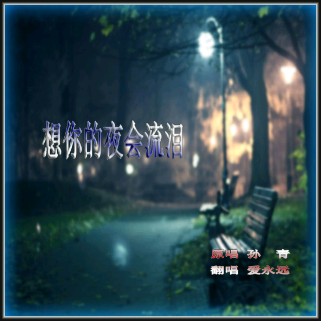《想你的夜会流泪》(孙青)歌词555uuu下载
