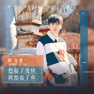 《想起了爱情就想起了你》LRC歌词 《想起了爱情就想起了你》(韩安旭)歌词555uuu下载
